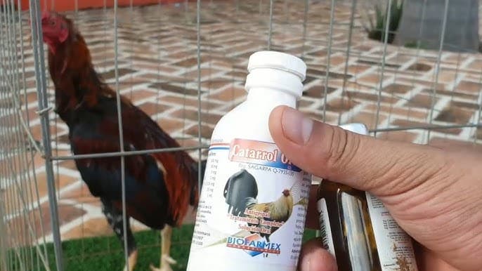 MANTENIMIENTO